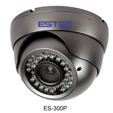 Indoor IR Color Dome Camera ES-300P